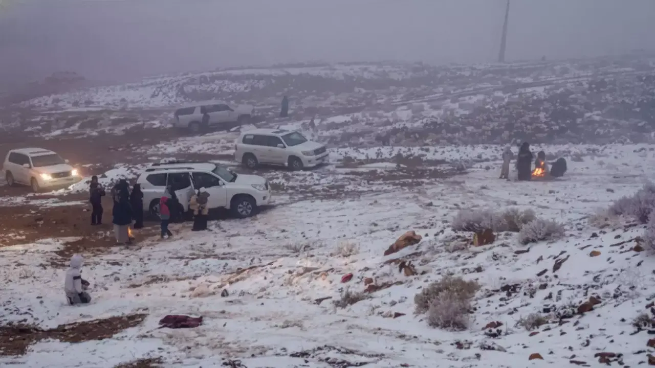 تحت الصفر.. موجة قطبية تضرب مدينة طريف وسط ضباب كثيف ومدى رؤية محدود